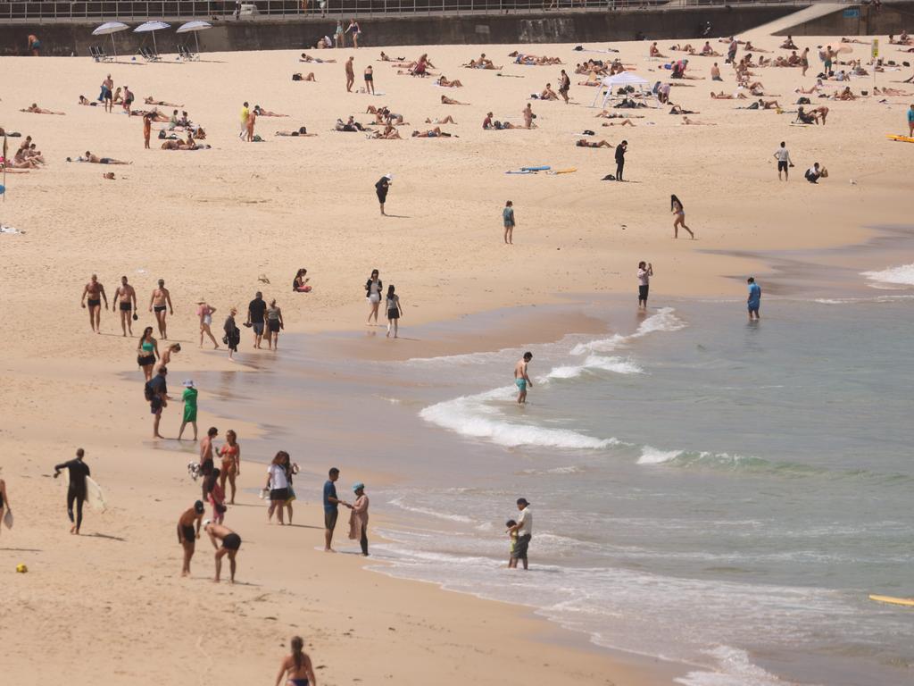 Shark nets have been found to give beachgoers a false sense of security when swimming. Picture: Rohan Kelly.