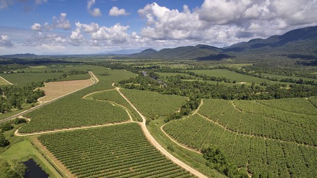 Aerial view of banana plantation in Tully. Photo supplied.
