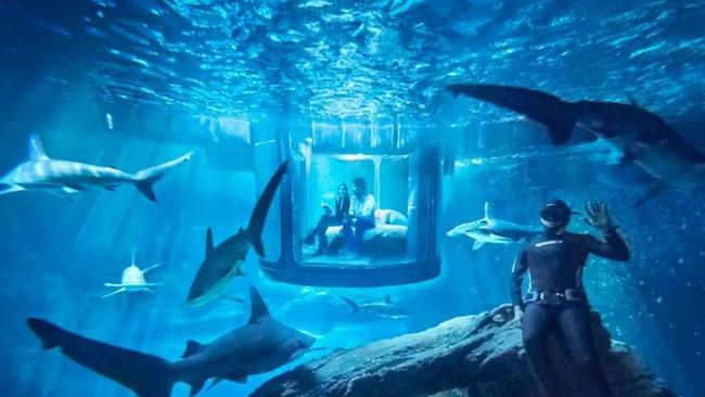 Underwater bedroom in a shark aquarium.