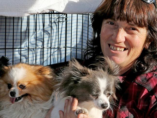 22/06/18 Mid-North animal breeder Dora Ryan holding Foxy and Kylee outside RSPCA Lonsdale after picking up 19 of her pomeranian dogs that were seized by the RSPCA 14 months ago.She will drive them 4 hours back to her home tonight. Picture: DYLAN COKER