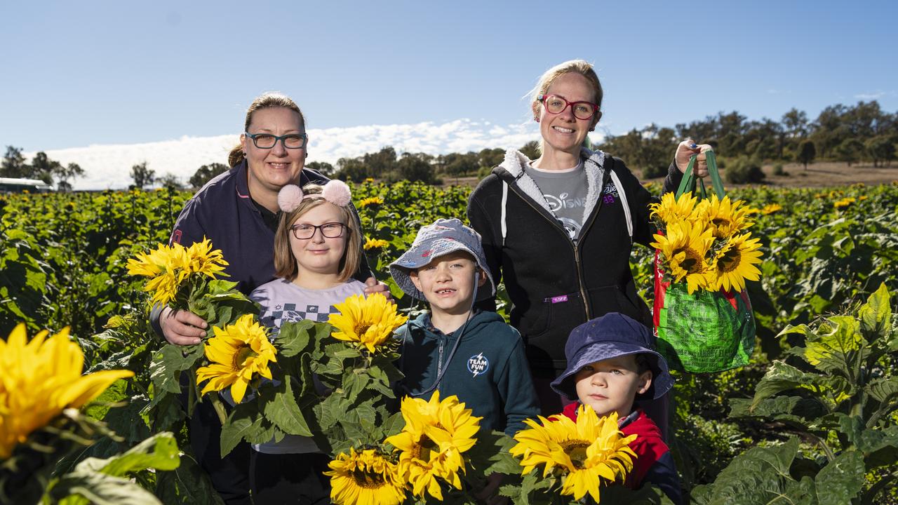 At Warraba Sunflowers are (from left) Katrina Kleidon, Vicky Cameron, Lachlan Kuhl, Jackie Kuhl and Blake Kuhl, Saturday, June 22, 2024. Picture: Kevin Farmer