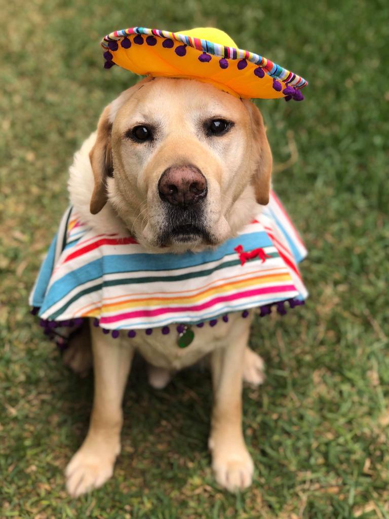 Our beautiful 12-year-old boy ready for a Mexican party. Picture: Kim Campbell