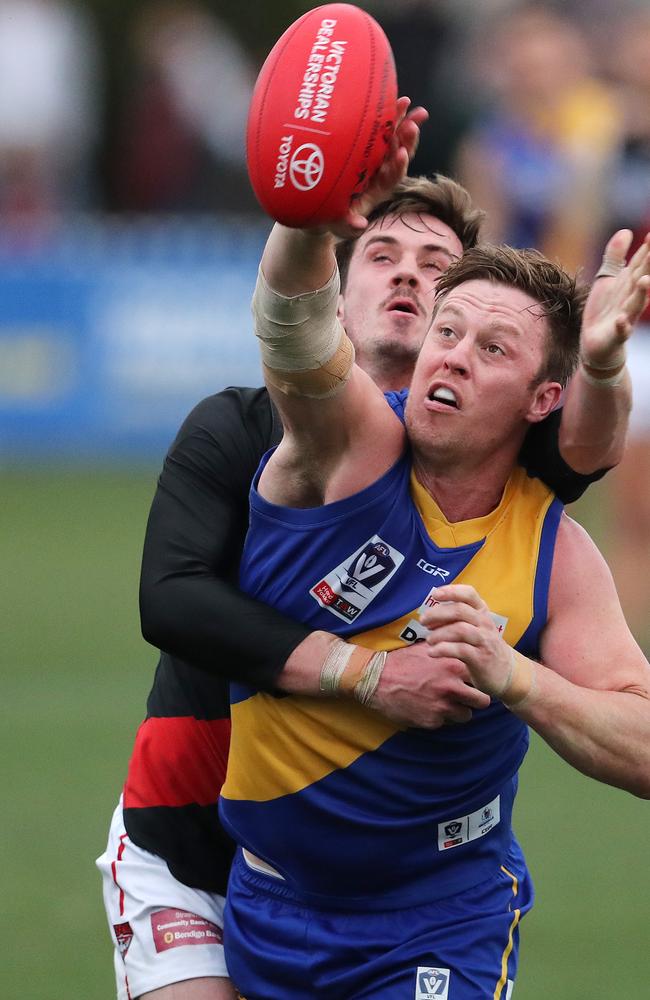 Tap and wrap: Williamstown ruckman Nick Meese takes front position.