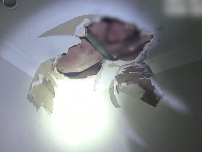 Peek-a-boo! The man is spotted by police stuck in the roof cavity of a hotel toilet block.  Picture: Supplied / Qld Police