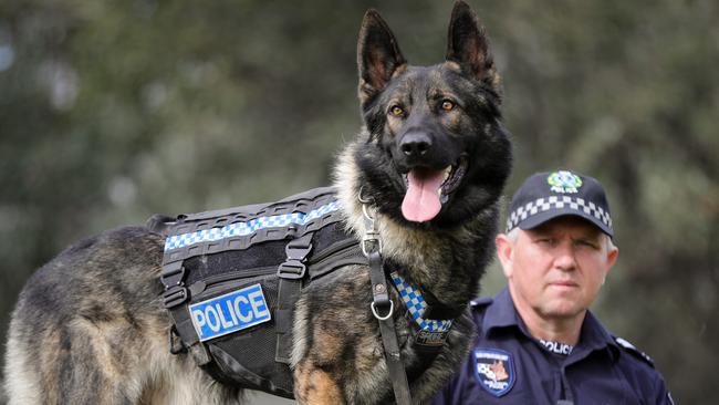 Queensland police dog vests redesigned to prevent heat exhaustion and ...