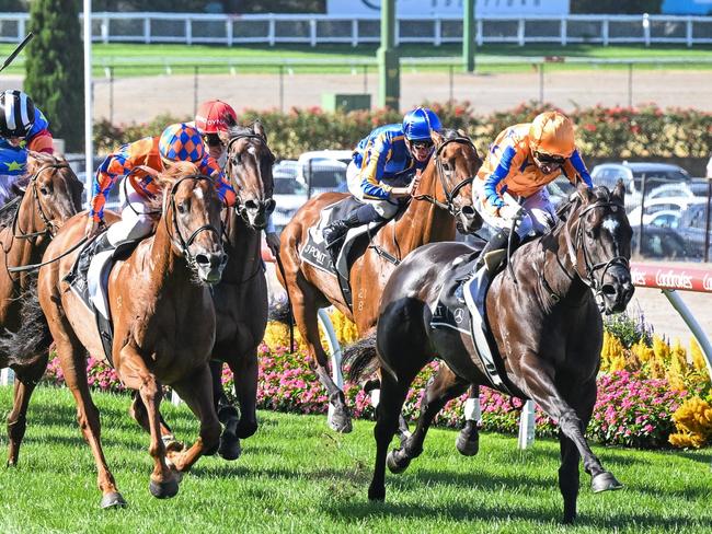 Imperatriz ridden by Opie Bosson wins the 3 Point Motors William Reid Stakes at Moonee Valley Racecourse on March 23, 2024 in Moonee Ponds, Australia. (Photo by Reg Ryan/Racing Photos via Getty Images)