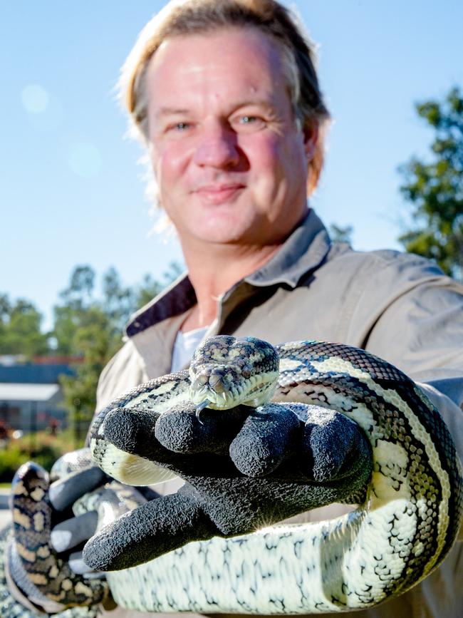 Glenn 'Ozzie' Lawrence from OzCapture Snake Relocation with python caught in the Berrinba industrial area. Picture: AAP Image/Richard Walker