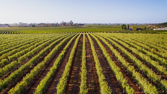 Mildura farmers will experience a steep rate rise next financial year