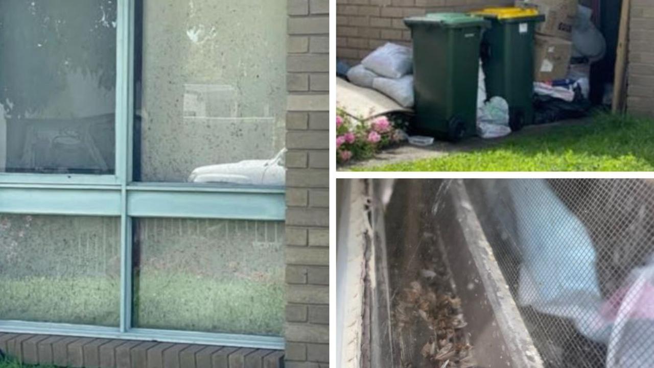 -(Clockwise L-R) Black mould on the blinds, rubbish bins blocking the front entrance and dead flies on a window sill at the Russell St flat.