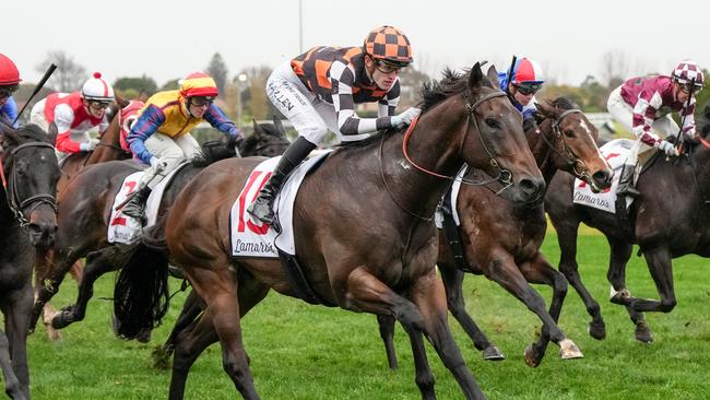 Baraqiel makes it four from four at Caulfield on Saturday. Photo: George Sal/Getty Images.