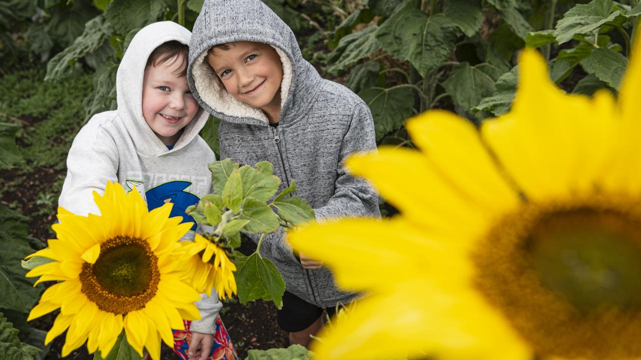 Elijah Milne (left) and Braxton Patterson at Warraba Sunflowers, Saturday, June 22, 2024. Picture: Kevin Farmer