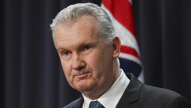 Employment and Workplace Relations Minister Tony Burke will take on Home Affairs. Picture: NewsWire / Martin Ollman