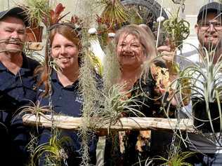 Glenn and Katrina Kime, Glenda Thompson and Jamie Shaw prepare for the Bromeliad Group's first sale in Rockhampton. Picture: Jann Houley