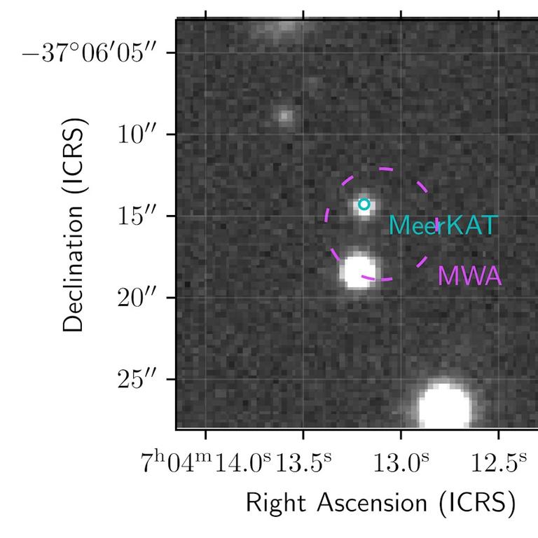 The source of the radio waves, as seen by the MWA at low resolution (magenta circle) and MeerKAT at high resolution (cyan circle). The white circles are all stars in our own Galaxy. Hurley-Walker et al. 2024 / Astrophysical Journal Letters