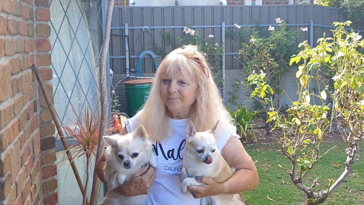 Marilyn Fuss, 64, and dogs Taco and Tilly after their encounter with a falling tree branch outside their Aberfoyle Park home. Picture: Aden Hill