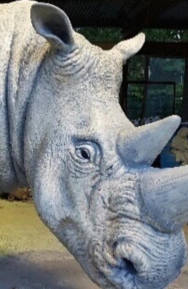 White Rhino Bar And Eats is installing this replica life-size white rhino at the Surfers Paradise venue where it will have pride of place as part of a jungle scene