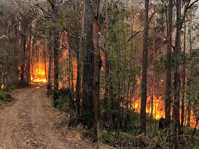 Milton RFS attend the Currowan fire. Picture: Milton RFS.