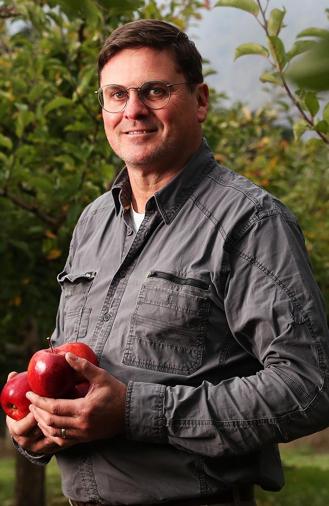 Dane Griggs of BW Griggs and Sons with Rubigold apples at the end of apple harvest season. Picture: Nikki Davis-Jones