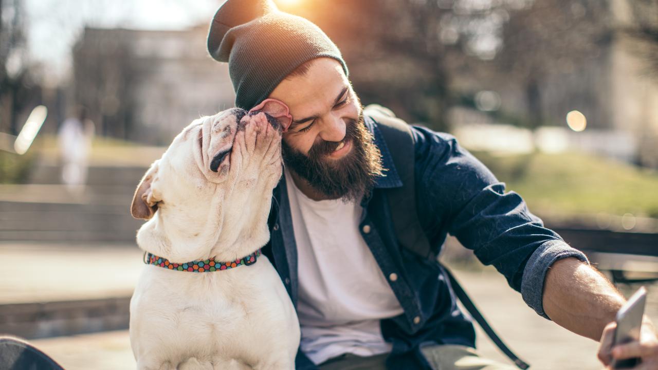 Man and dog in the park