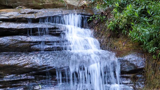 Buderim Forest Park falls is among the significant sites. Picture: Mel Burnett