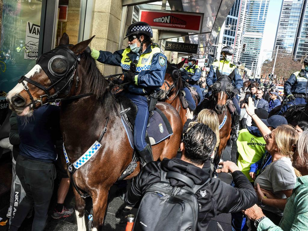 Police officers on horseback disperse protesters. Picture: Flavio Brancaleone/NCA NewsWire