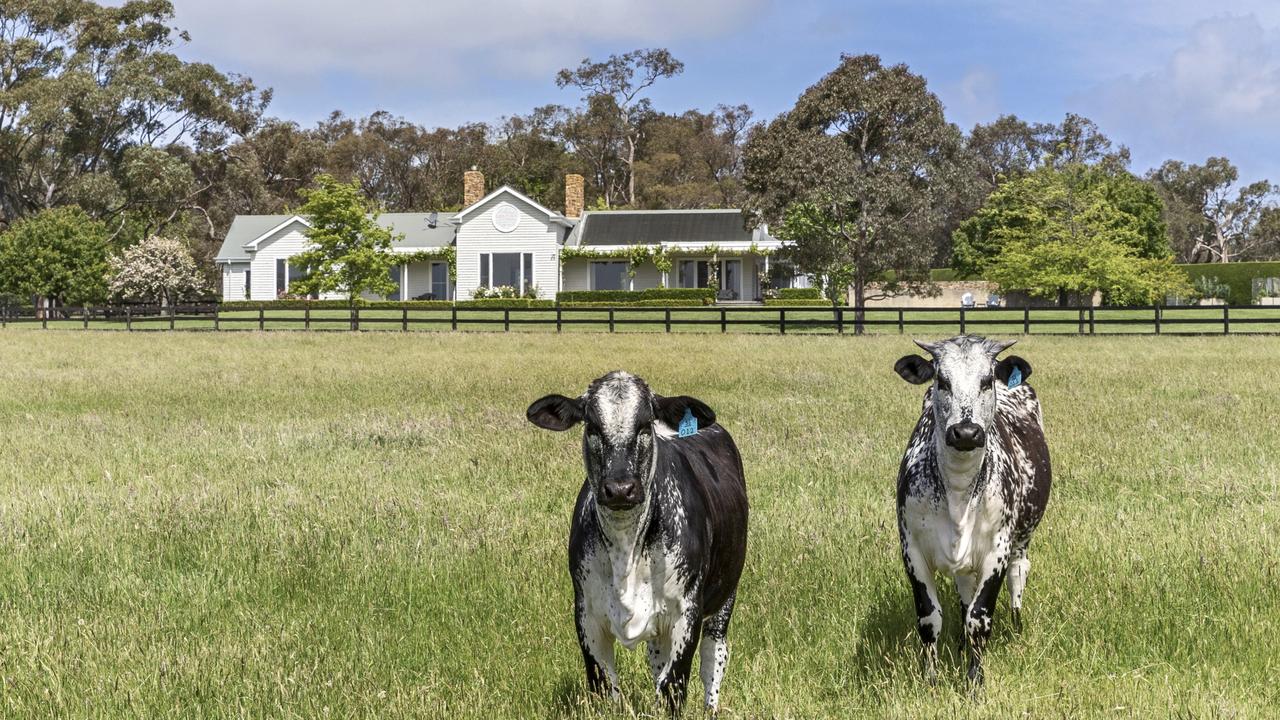 The property spans more than 21ha, what more do you need to moove in?