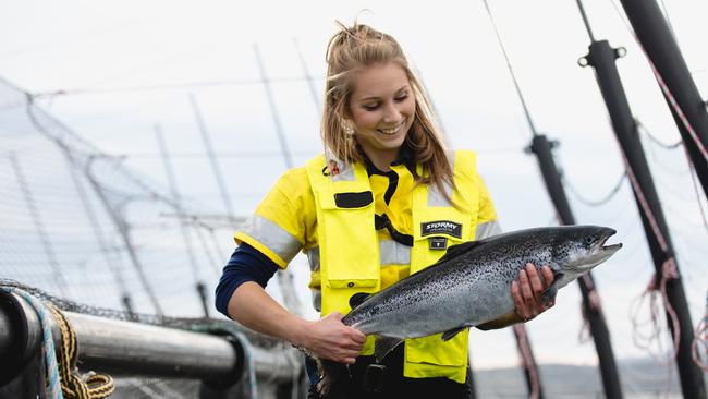 Tasmanian salmon producer Huon had agreed a deal with JBS.