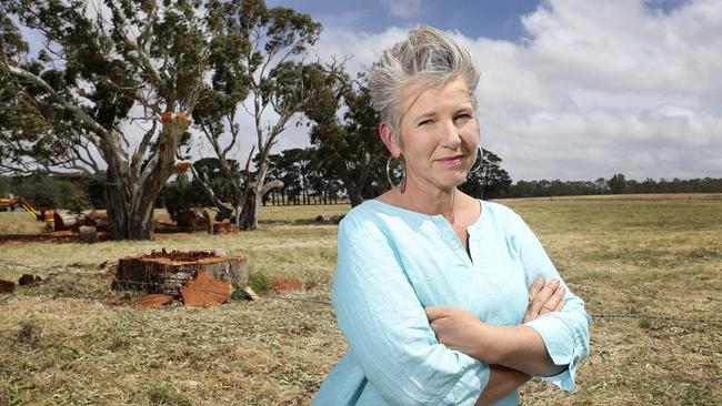 Sunday Mail gardening columnist Sophie Thomson in front of the trees that have been relocated at Mount Barker Summit. Picture: Sarah Reed