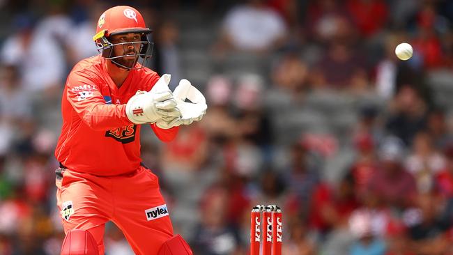 Brayden Stepien behind the stumps for Melbourne Renegades fields. Picture: Getty Images