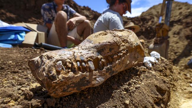 The Queensland Museum dig for the plesiosaur. Picture: Peter Wallis