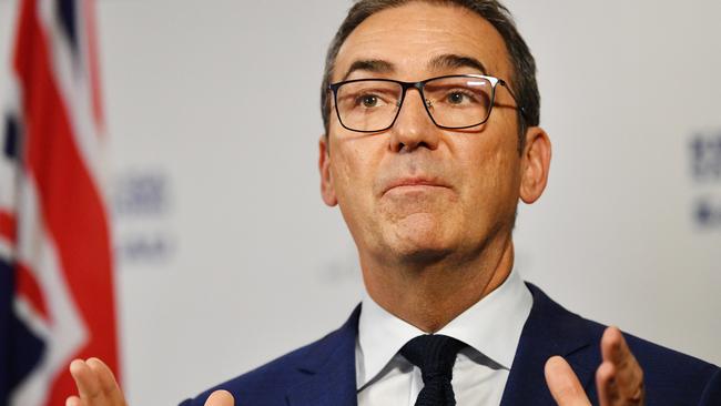 SA Premier Steven Marshall speaks to the media in Adelaide, Friday. Picture: AAP / David Mariuz