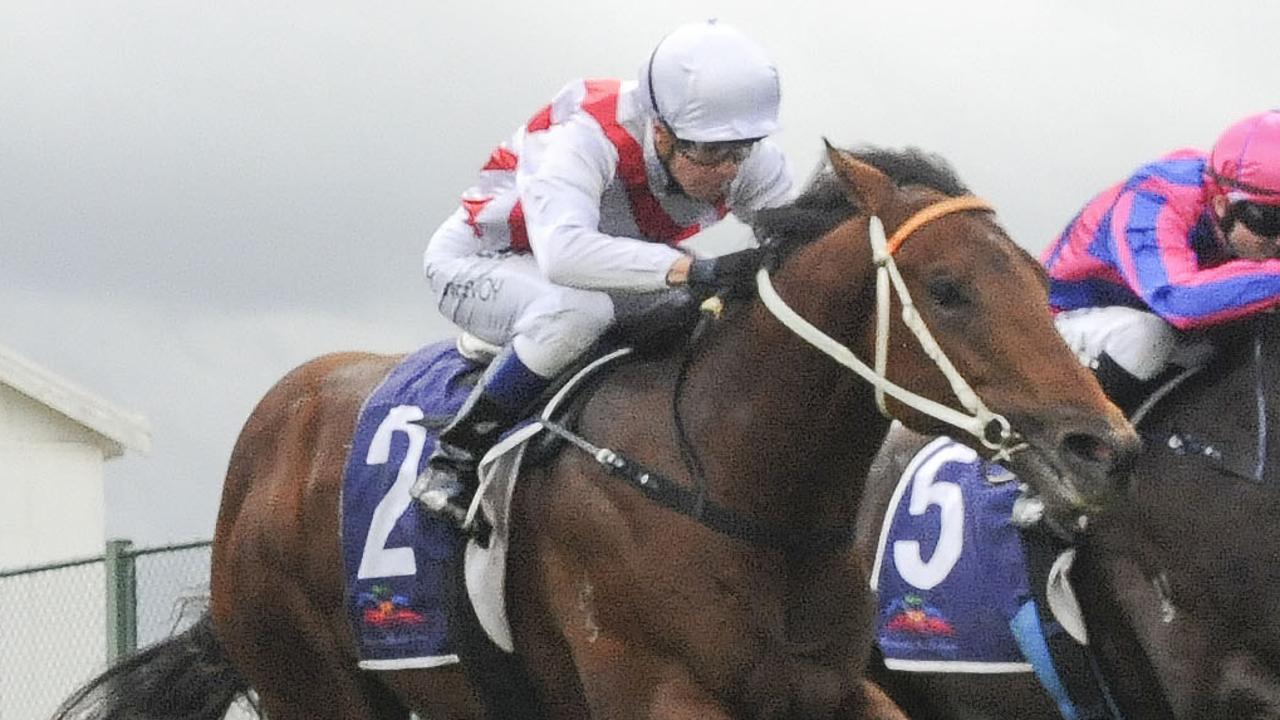 Graff is a firm favourite for the inaugural The Hunter at Newcastle. Picture: AAP