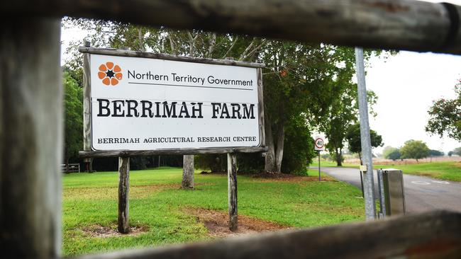 HALIKOS Group were given $4 million in taxpayer funds to get the Berrimah Farm development project started — on top of the land they were already awarded free of charge. PICTURE: Helen Orr