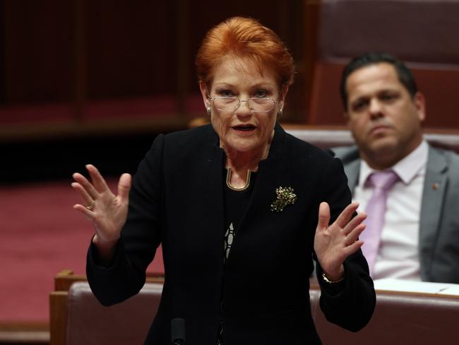 Senator Pauline Hanson with Senator Peter Georgiou in the Senate Chamber in Parliament House Canberra. Picture Gary Ramage