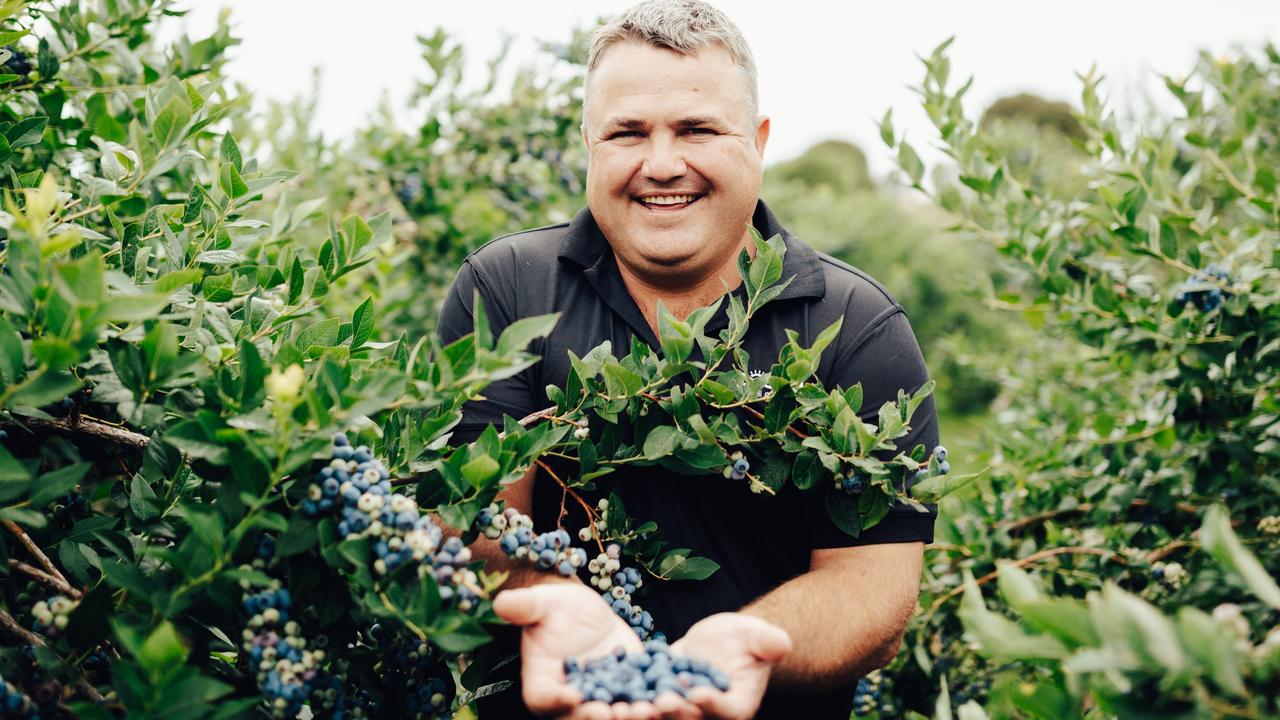 Would you buy ‘organic in-conversion’ blueberries?