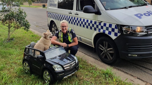 Leading Senior-Constable Tania Perry and the alleged hoon, Buddy.