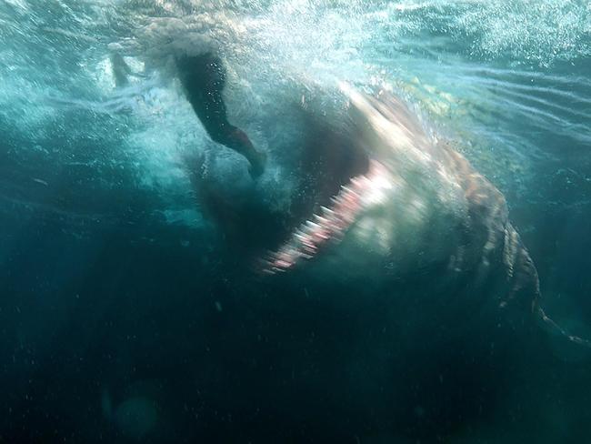 A promotional still from the movie 'The Meg'. Picture: Warner Bros