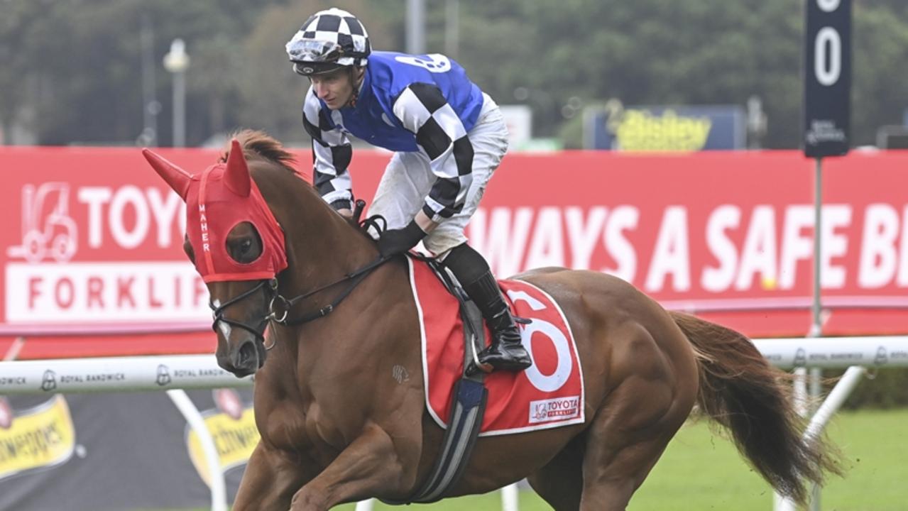 Rosehill Turf Talk: Import can cause boilover at $16