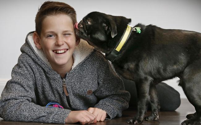 Jayden Dalton, 11, gets a lick from Darcie, who was given to him on his 8th birthday. Picture: David Caird