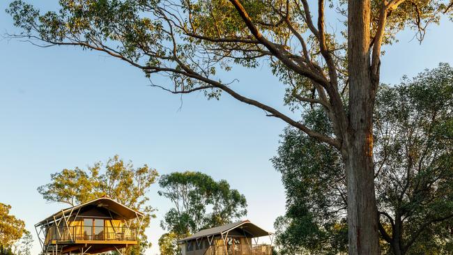 Sanctuary by Sirromet’s pavilions feature balconies that feel like they're floating in the forest