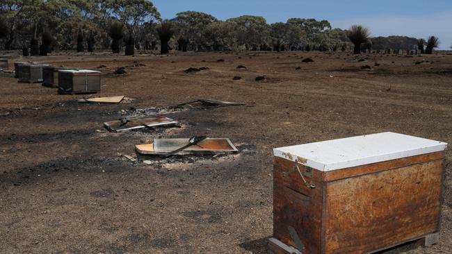 Fire-affected Ligurian bee hives on Hanson Bay Road, Hanson Bay. Picture: Emma Brasier