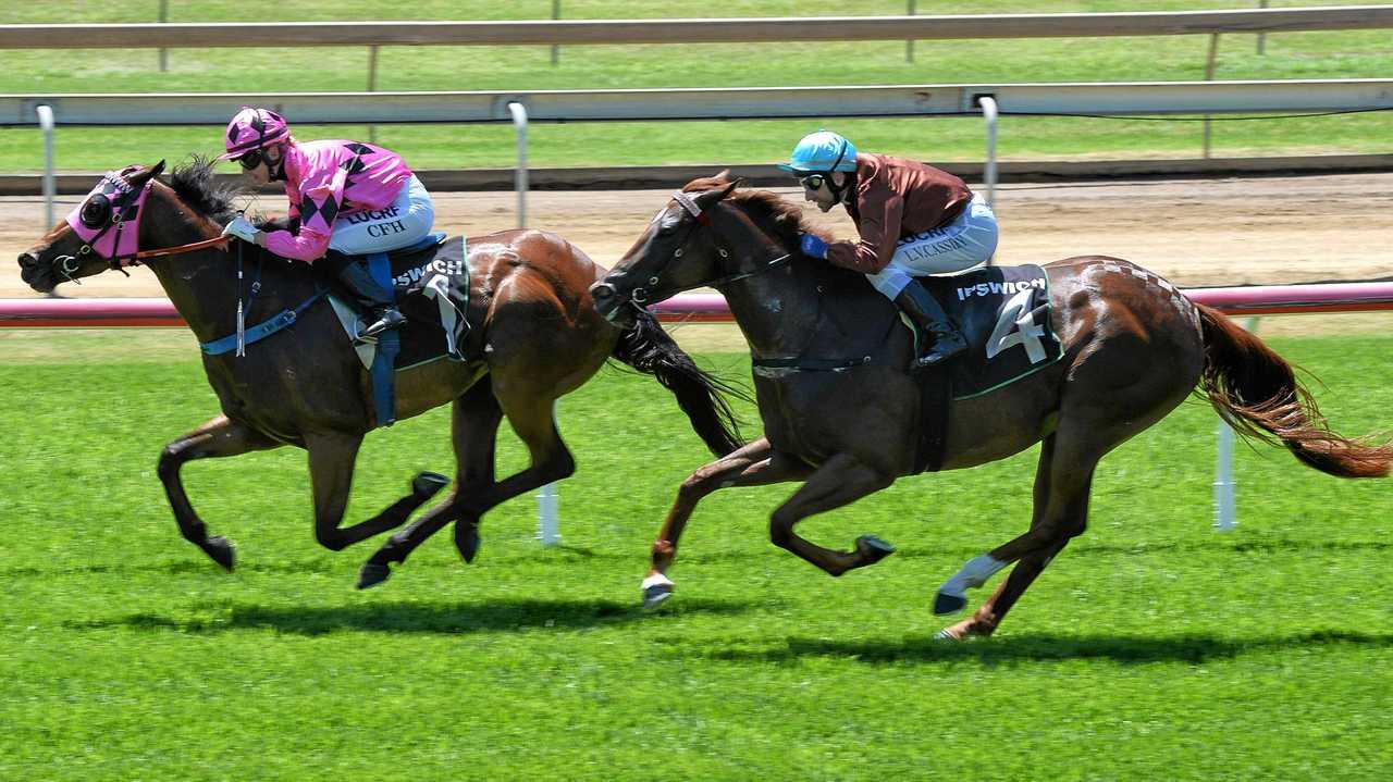 Pretty Ricky wins the Real Property Legal Maiden at Ipswich Racetrack on Friday. Picture: Rob Williams