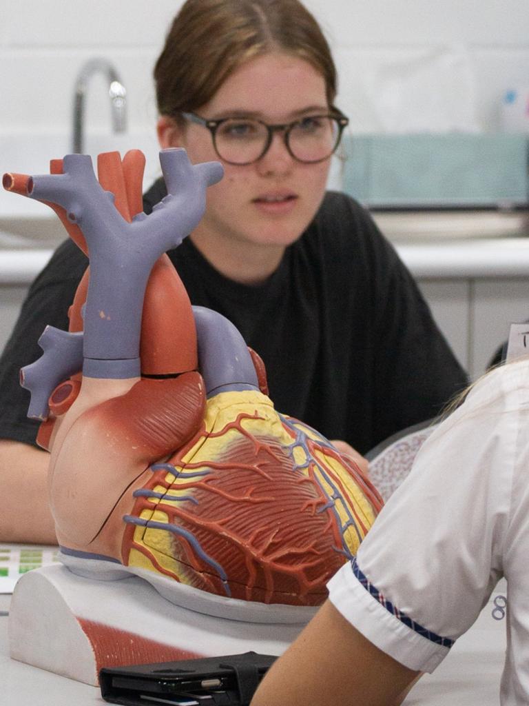 Students from different schools worked together on medical science projects.