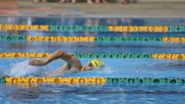 Swimmers at the Northern Rivers zone school championships at the Lismore pool