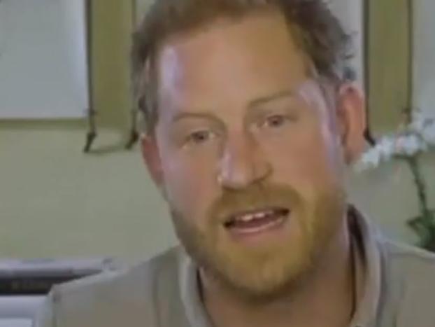 XXScreen grabs XX, Prince Harry suggested coronavirus could be punishment from Mother Nature in a video interview .The royal spoke of his passion for nature in the video chat with WaterBear's CEO Ellen Windemuth and Head of Strategy Sam Sutaria.