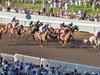 Trainers fume over Darwin Cup music festival