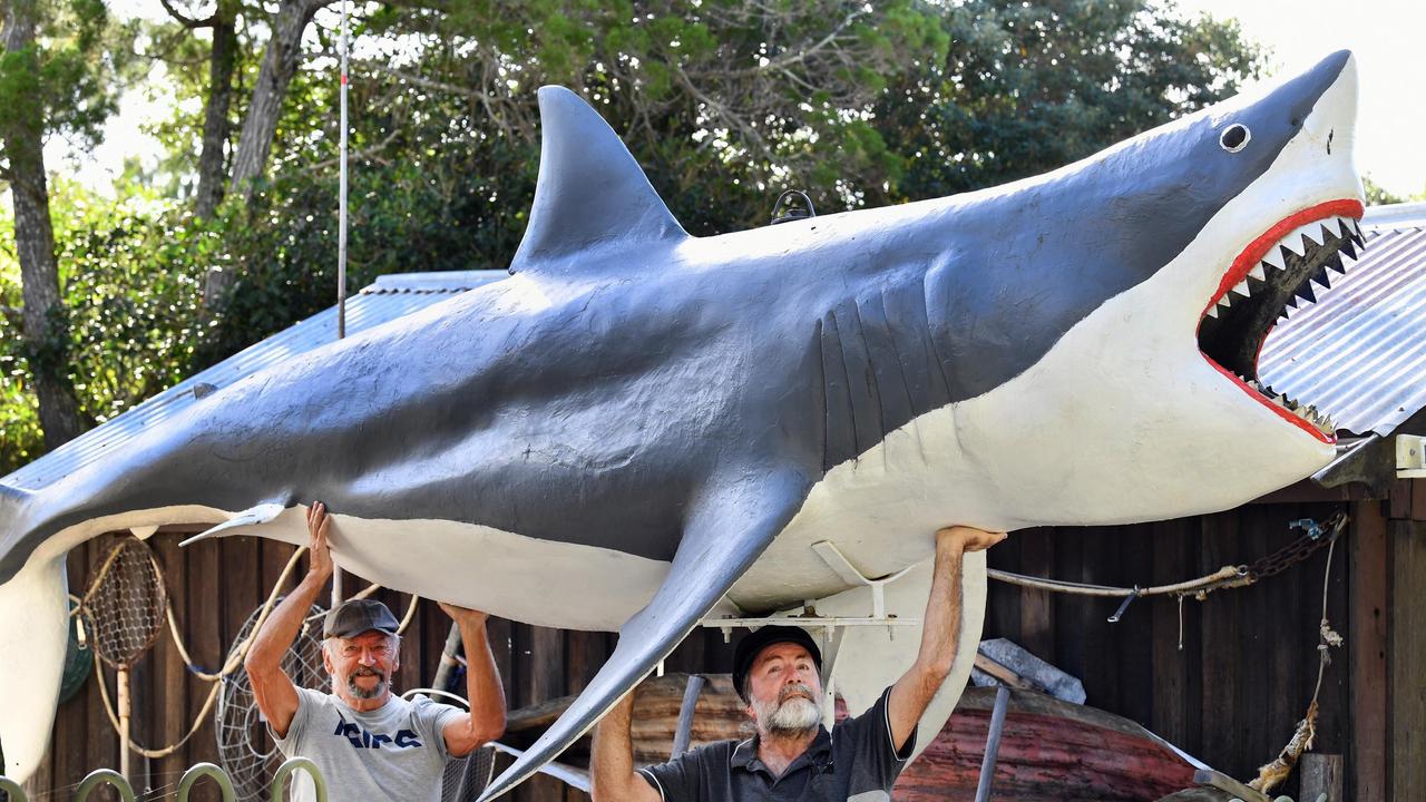 Hervey Bay Historical Village and Museum – (L) Brian Taylor and Keith Elliott with one of the sharks from Vic Hislop’s Shark Show on display at the museum. Photo: Alistair Brightman