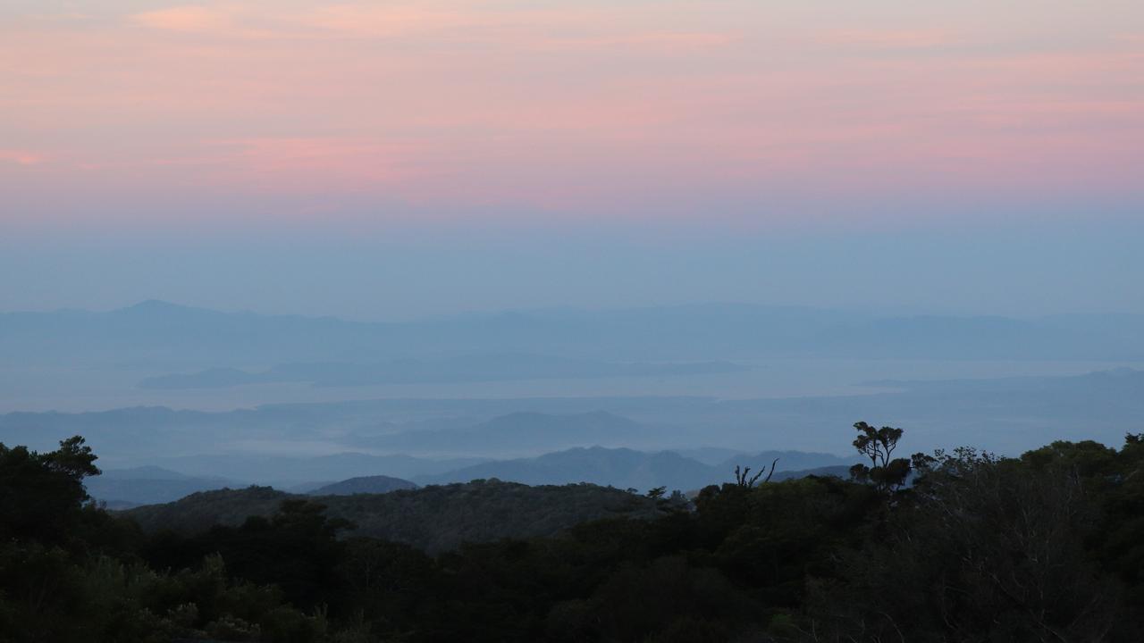 Montverde cloud forest, Costa Rica. Picture: Megan Palin