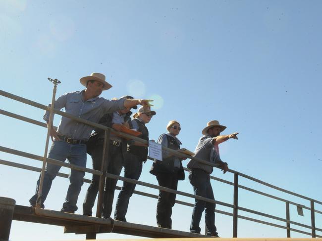 Many people were keen to purchase cattle at the auction. Picture: SATRIA DYER-DARMAWAN