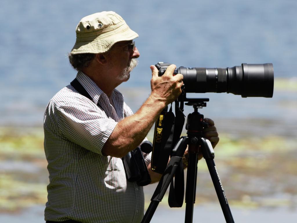 Coxen’s fig-parrot, night parrot, buff-breasted buttonquail: fate of ...